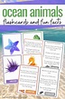 Free Printable Ocean Animals Facts for Kids