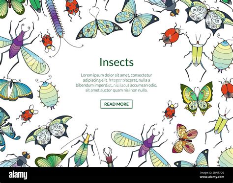 Vector Hand Drawn Insects Background With Place For Text Illustration
