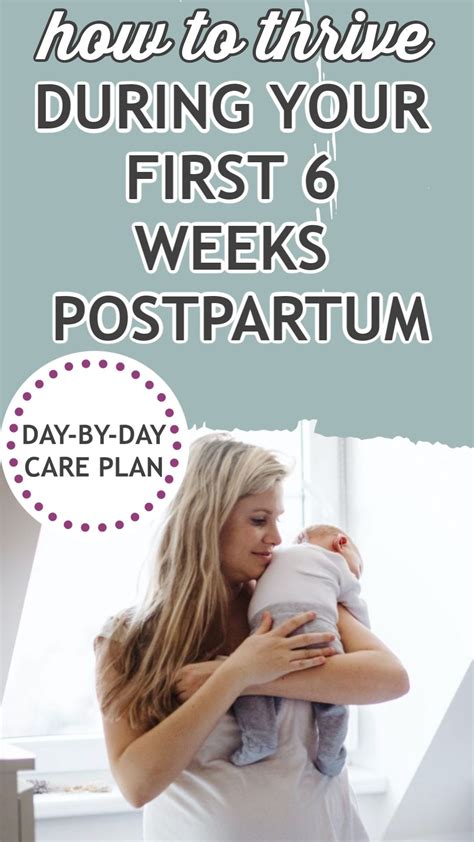 Daily Postpartum Guide For New Moms Your Six Week Post Birth Plan