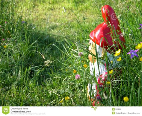 De Dwerg Van De Tuin Stock Foto Image Of Weinig Runt 397258