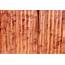 Stained Wooden Fence Texture Picture  Free Photograph Photos Public