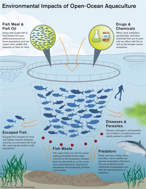 Aquaculture Ap Environment Chapter 11