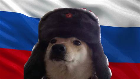 Russian Doge Doge Doge Meme Russians