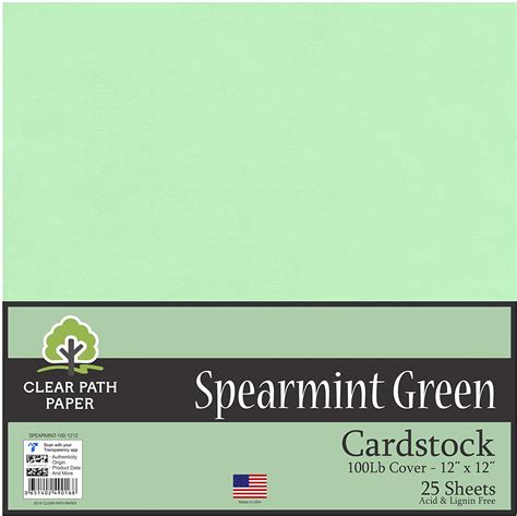 Spearmint Green Cardstock 12 X 12 Inch 100lb Cover 25