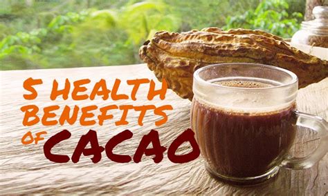 5 Health Benefits Of Organic Cacao Nibs Doyou