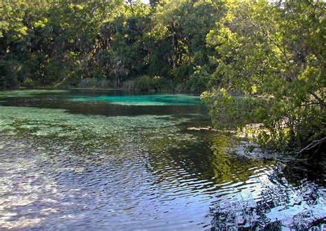 Ocala National Forest Alexander Springs Gfbwt