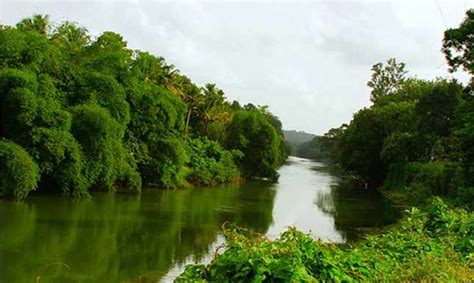 Meenachil River In Kottayam Kerala Keralaorbit