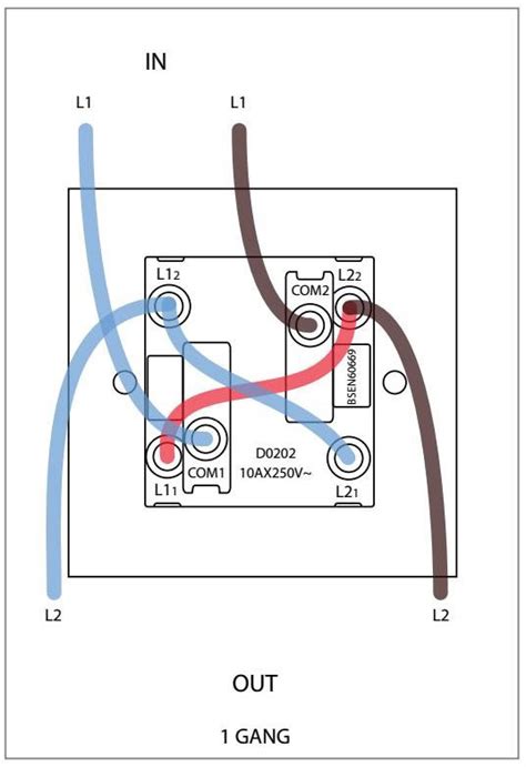 2 Gang 1 Way Switch Wiring Diagram Coginspire