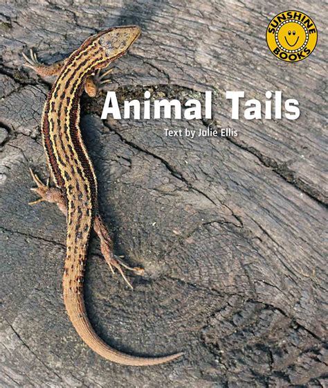 Animal Tails Sunshine Books New Zealand