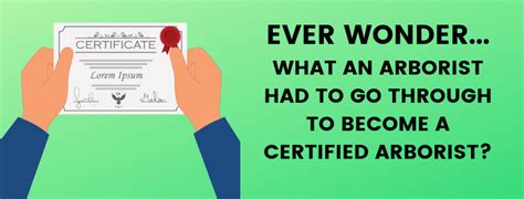 This certification covers a large number of topics giving the candidates flexibility in the arboricultural profession. LEARN. What an Arborist did to become a Certified Arborist