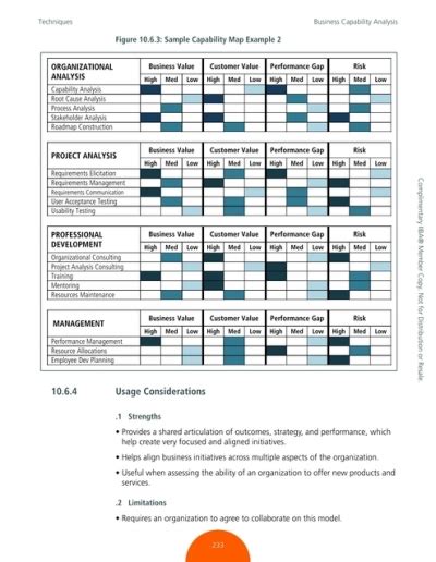 Business Capability Analy