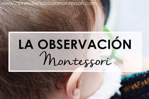 La Observación Montessori Aprendiendo Con Montessori
