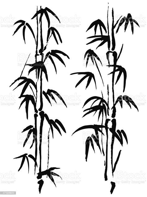 Black And White Illustration Bamboo Stock Illustration Download Image