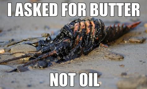 Fossil Fuel Memes Oil Spills Are A Beach Environmental Education