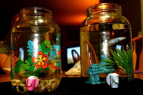 For what purpose did i make these little things? Diy Self Cleaning Betta Tank | Joy Studio Design Gallery - Best Design