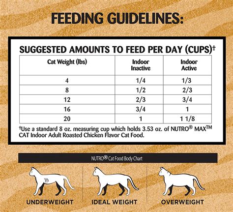 Are you wondering how much to feed a cat? How Much Do You Feed A Cat Each Day - CatWalls