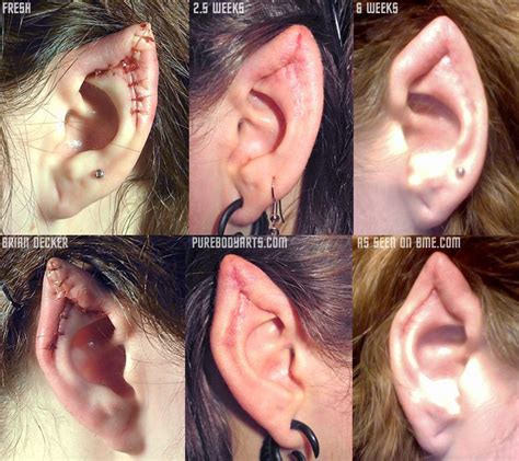 Ear Pointing Gone Wrong
