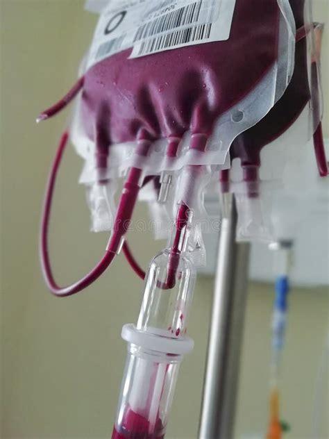 Sac De Sang Pour Transfusion Concentration De Globules Rouges Donner