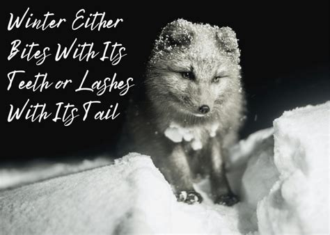 Common Winter Idioms Adages Quotes Sayings And Proverbs Holidappy
