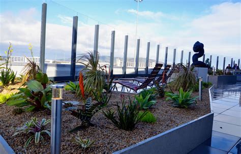 Sfo Unveils Dramatic Outdoor Observation Deck Photos