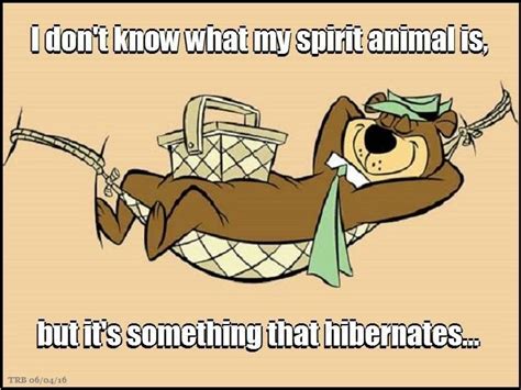Yogi Bear ~ My Spirit Animal Hibernates 🐻 💤 My Spirit Animal Whats