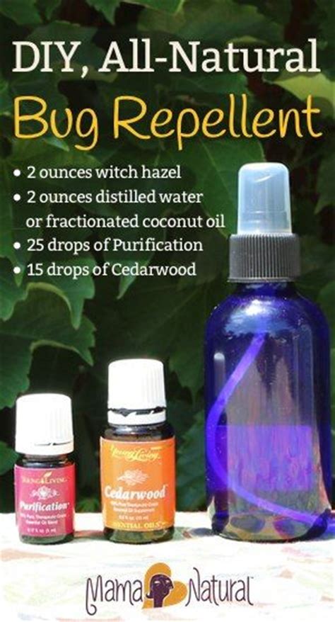 1 bottle young living insect repellent. Natural Outdoor Spray - DIY Recipe | Sprays, Young living ...