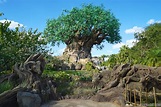 You're Not Visiting Disney's Animal Kingdom, But You Should Be