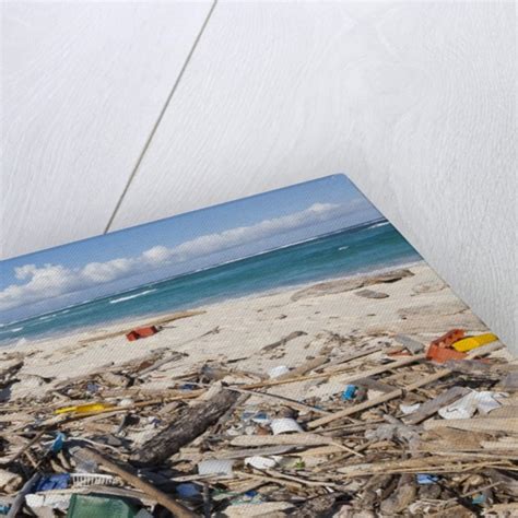 Trash Covered Beach In Aruba Posters And Prints By Corbis