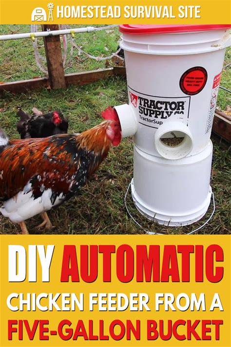 Diy Automatic Chicken Feeder From Five Gallon Bucket