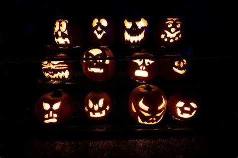 Get Pumpkin Carving Tips From Hudson Valleys Master Carver And