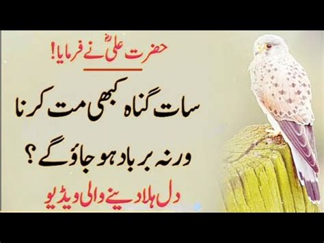 Hazrat Ali Quotes Zindagi Ka Asool Bana Lo Inspirational Quotes