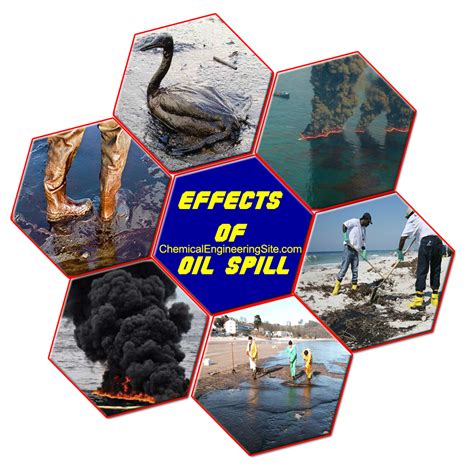 The Impact Of Oil Spills On The Water Cycle Vrogue Co