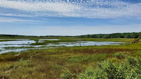 Land Trust Opens New Reserve At Dike Creek Dartmouth