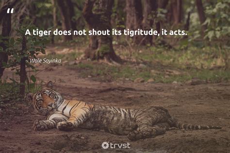 A Tiger Does Not Shout Its Tigritude It Acts Wole Soyinka Trvst