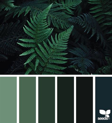 Olive Forest Green Paint Color Color Forest Green In 2020 Forest