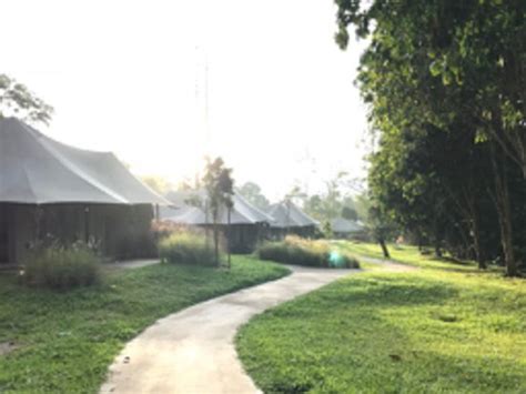 Tiarasa escapes is a secluded glamping spot nestled in the cool foothills of janda baik. TIARASA ESCAPES GLAMPING RESORT: UPDATED 2018 Hotel ...