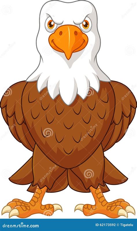 Cartoon Bald Eagle Posing Isolated On White Background Stock Vector