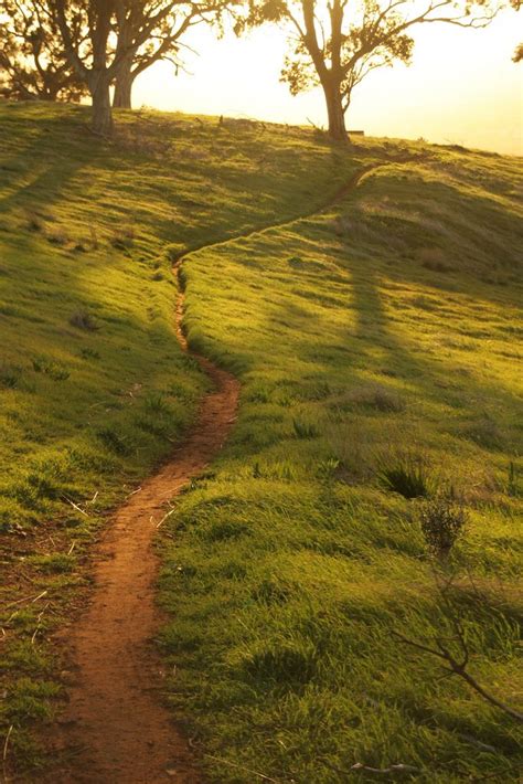 Path To The Light Beautiful Nature Nature Aesthetic Nature Photography