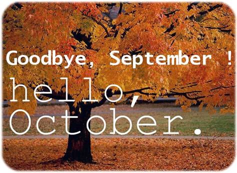 Welcome October Andseptember Recap Fashion And Cookies Fashion