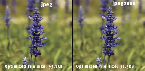 10 Common Image File Formats And Their Differences Drfone