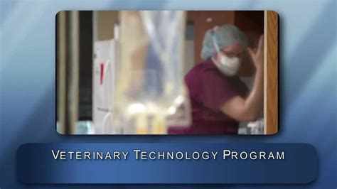 Veterinary Technology Program At Broadview University In The Classroom YouTube
