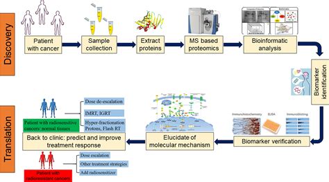 Frontiers Application Of Proteomics In The Discovery Of Radiosensitive Cancer Biomarkers