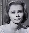 Bethel Leslie, Guest Star "Storm Center" 1964 THE FUGITIVE | Perry ...