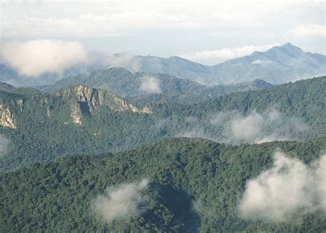 Visit Pico Bonito On A Trip To Honduras Audley Travel