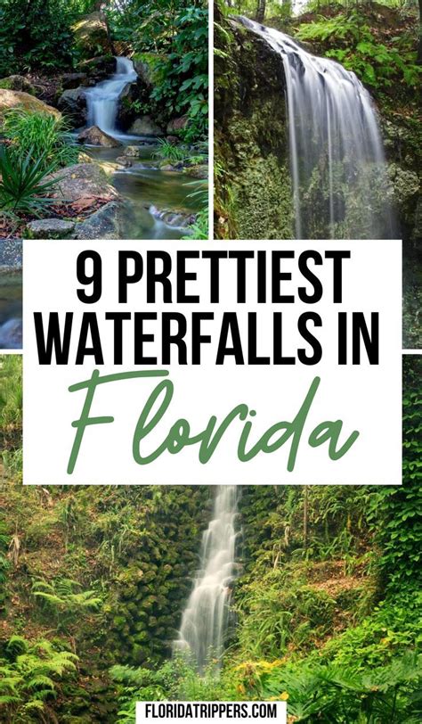 9 Prettiest Waterfalls In Florida Waterfall Florida Florida Travel