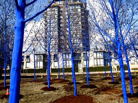I Absolutely Love Konstantin Dimopoulos And His Blue Trees Picture
