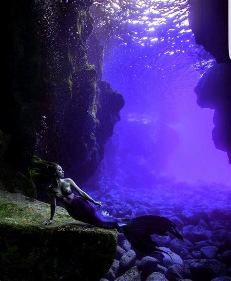 Lista 98 Foto Imagenes De Sirenas Reales Encontradas Vivas En El Mar