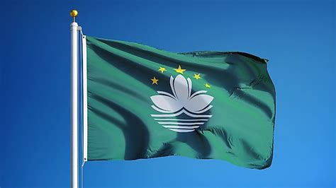 Which National Flags Feature Plants In Their Designs