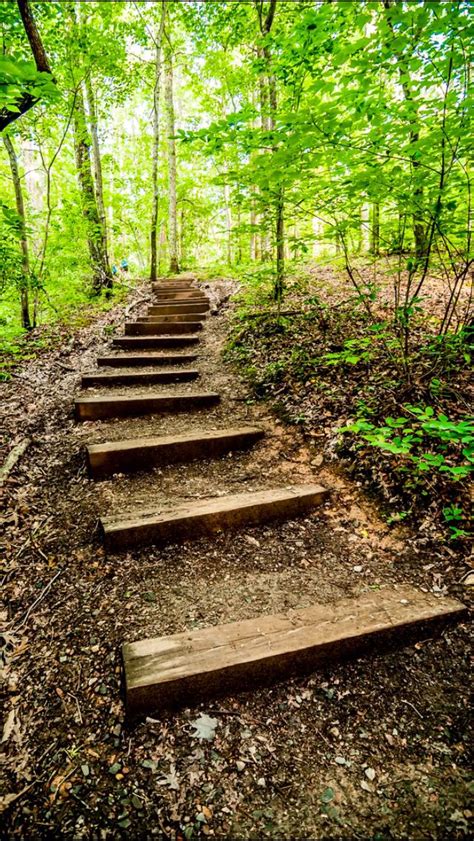 Forest Hiking Trail Source Landscape Stairs Outdoor