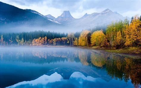 The Autumn Fog Forest Lake Morning Wallpaper Nature And Landscape Wallpaper Better